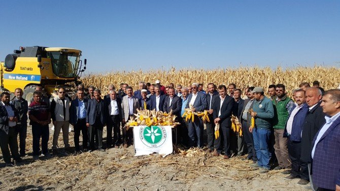 Danelik Mısırın Yurt İçinden Teminine Kayseri Pancar Kooperatifi Desteği