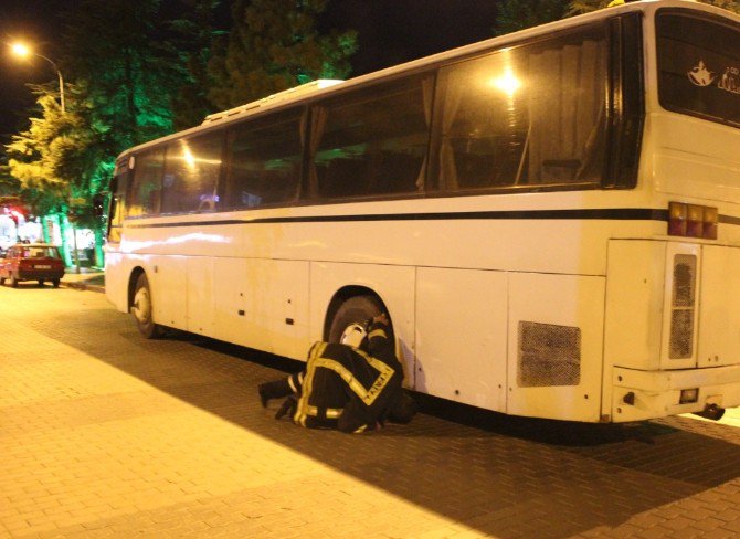 Otobüsün Altına Giren Kedi Kurtarıldı