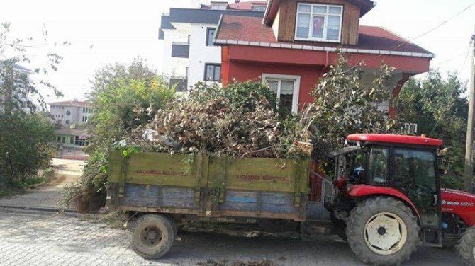 Akçakoca’da Temizlik Çalışmaları Hızlandı