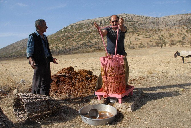 Diyarbakır’da Bağbozumu Zamanı