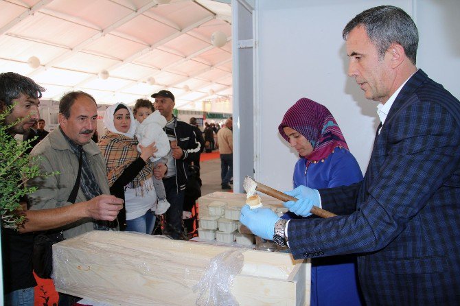 Giresun Günleri Renkli Başladı