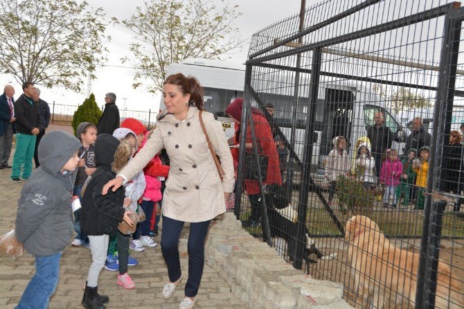 Geçici Bakımevi Minik Misafirlerini Ağırladı