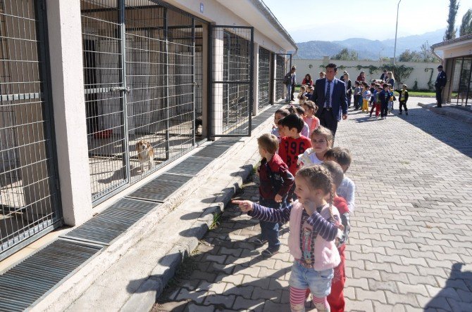 Salihli’de Minikler Hayvan Barınağına Ziyaret