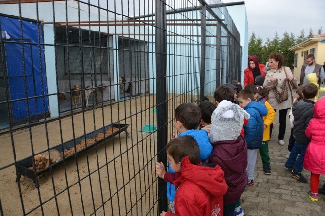 Geçici Bakımevi Minik Misafirlerini Ağırladı