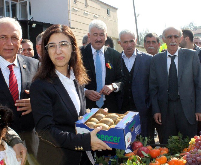 Yalova’da Kivi Hasadının Startı Verildi