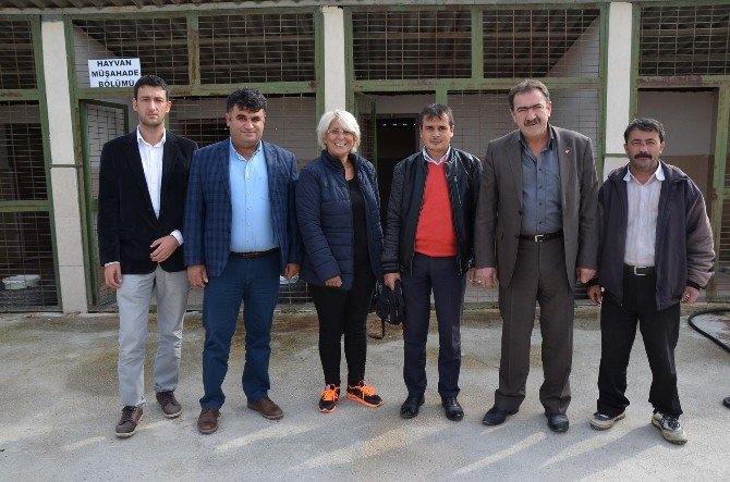 Bozüyük Belediyesi Geçici Hayvan Bakım Evi’ne Ziyaret