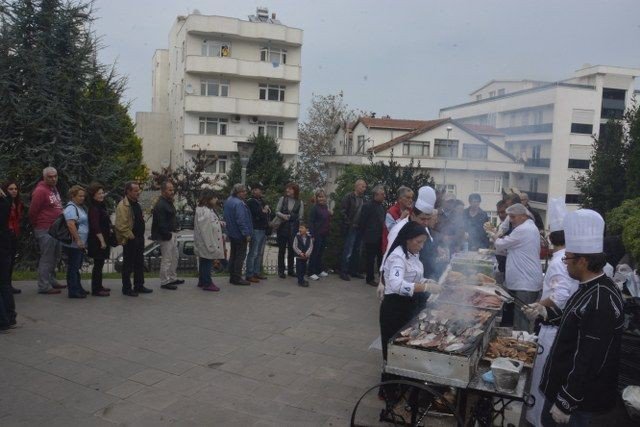 10. Palamut Briç Festivali Sona Erdi