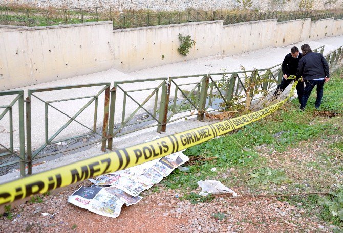 Dere Kenarında Ölü Bulundu