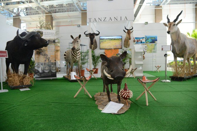 Tanzanya’nın Vahşi Doğası Expo 2016’da