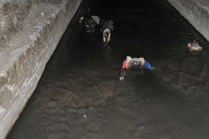 Kanala Atılan Yavru Köpeği Hayvan Sever Vatandaş Kurtardı