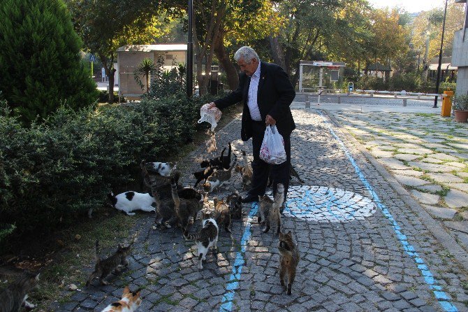 ’Kedi Bölüğü’ Sabah İçtimasında