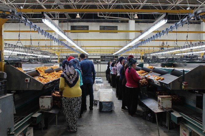 İyi Tarım Uygulamalarında Teknik Gezi Düzenlendi