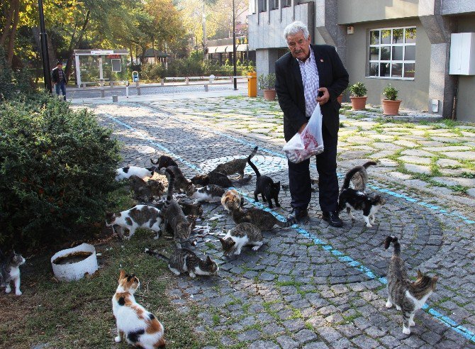 ’Kedi Bölüğü’ Sabah İçtimasında