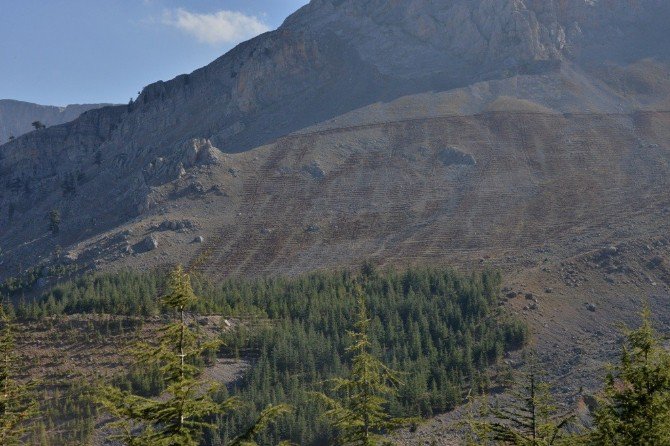 Orman Bölge Müdürlüğü, Erozyon Önlemek İçin Çalışmalara Başladı