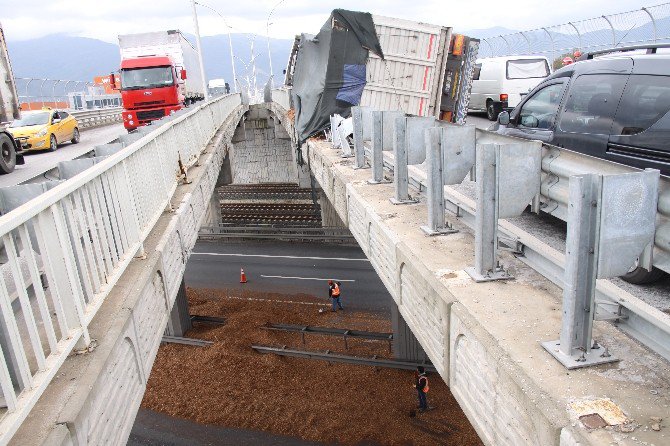 Virajı Alamayan Talaş Yüklü Tır Yan Yattı: 1 Yaralı