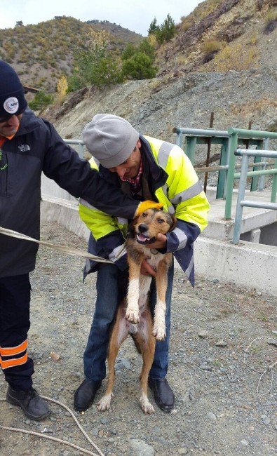 200 Metre Derinliğindeki Kanala Düşen Köpeği, Afad Kurtardı