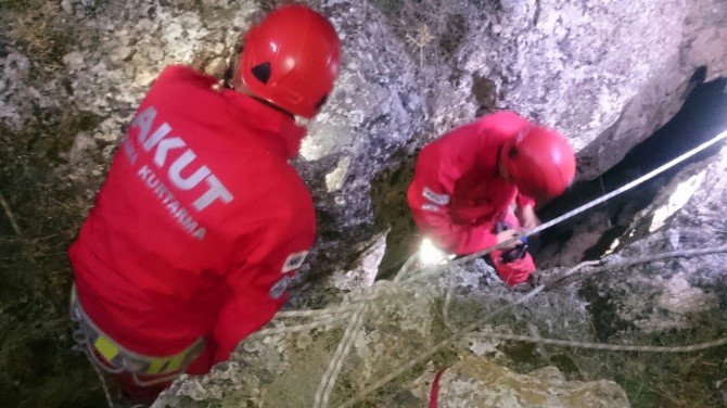 2 Gün Boyunca Kayalıklarda Mahsur Kalan Köpek Kurtarıldı