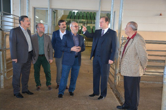 Elazığ Borsası Sistemi Yerinde İnceledi