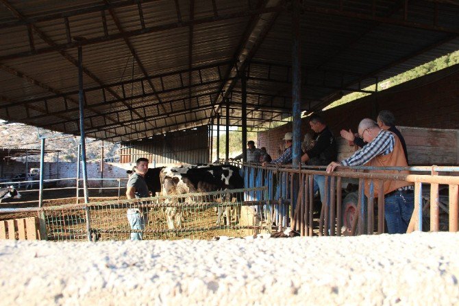 İzmir’de Çiçek Hastalığı Tehlikesi