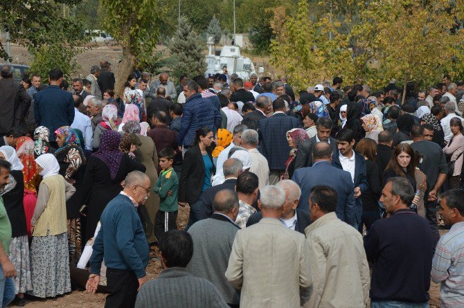 Hdp’li Vekiller Terörist Cenazesine Katıldı