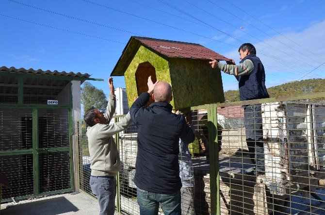 Bozüyük Belediyesi Geçici Hayvan Bakımevi’ne Yeni Köpek Kulübeleri