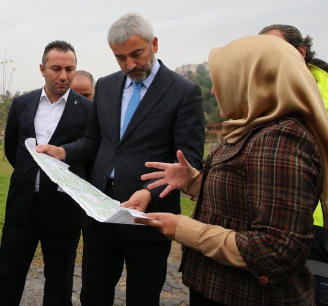 Botanik Park Büyükşehirde