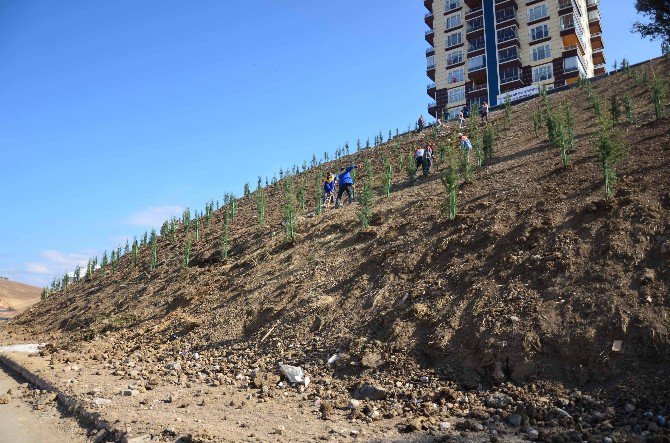 Ağaçlar Toprakla Buluşmaya Devam Ediyor