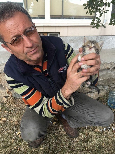 Sorgun’da Kedi Yavrularına İtfaiye Ekipleri Sahip Çıtı