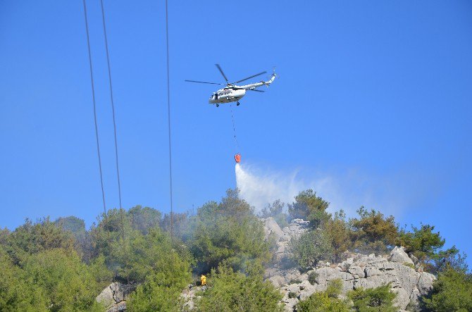 Adana’daki Orman Yangını Söndürüldü