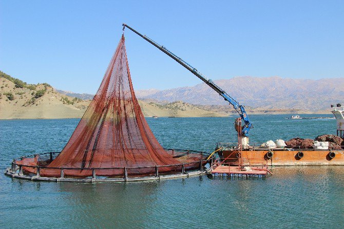 Denizi Olmayan Şehirden Kıtalar Arası Balık İhracatı