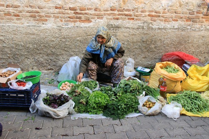 Kazdağlarıı’nın Yabani Otları Şifa Kaynağı