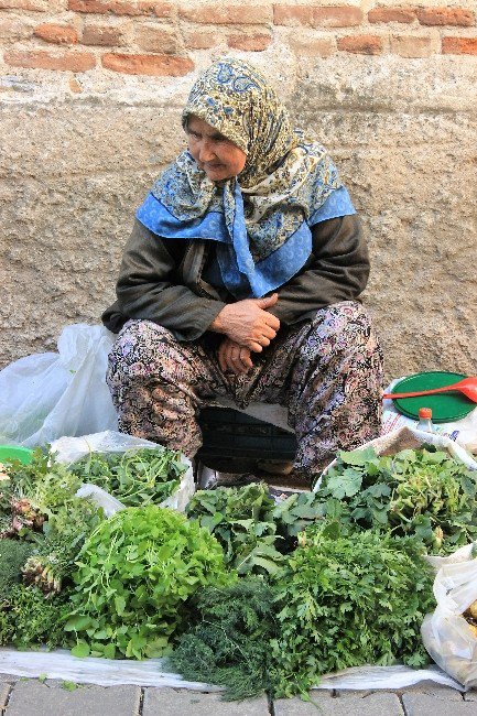 Kazdağlarıı’nın Yabani Otları Şifa Kaynağı