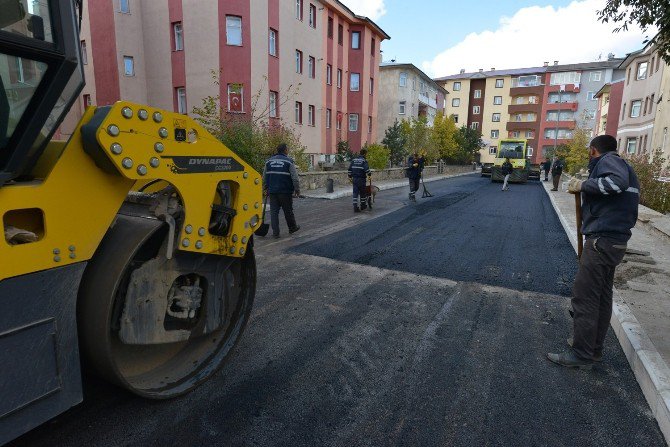 Yeşil Sokaklara Asfalt Yapılıyor