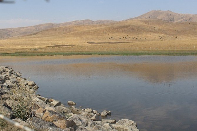 Ağrı İl Özel İdaresinden Başarılı Bir İş Sezonu