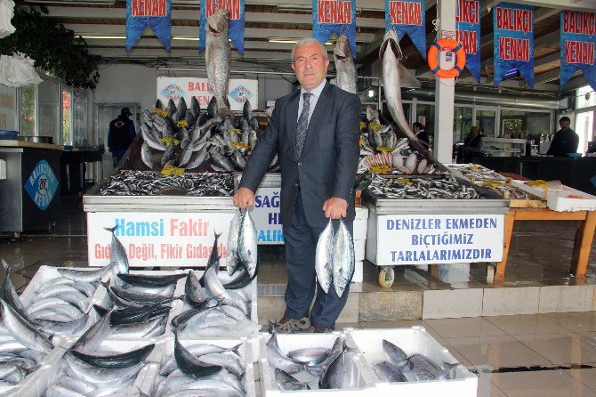 Palamut, Karadeniz’i Terk Edemeyince Av Sezonu Uzadı