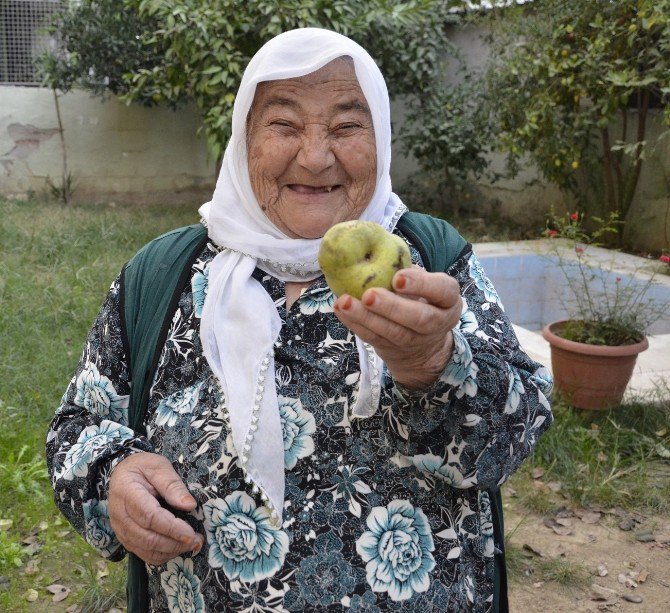 Gözüne Armut Düştü, Kör Oluyordu