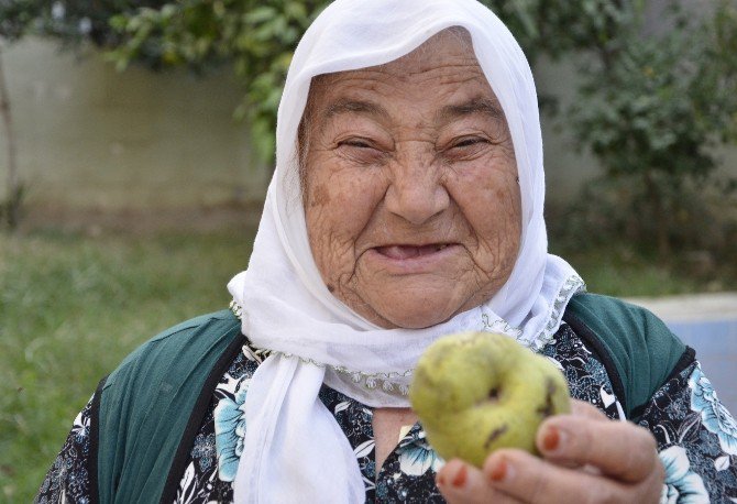 Gözüne Armut Düştü, Kör Oluyordu