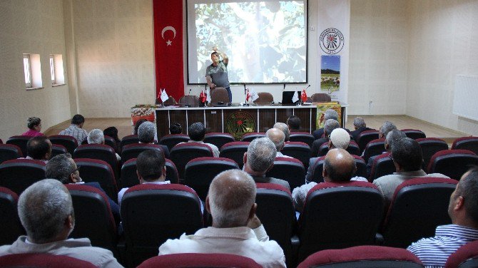 Gtb’den Antep Fıstığı Üreicilerine Budama Eğitimi