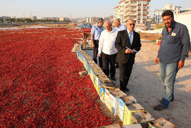 Haliliye Belediyesinden Gıda Güvenliği İçin Uyarı