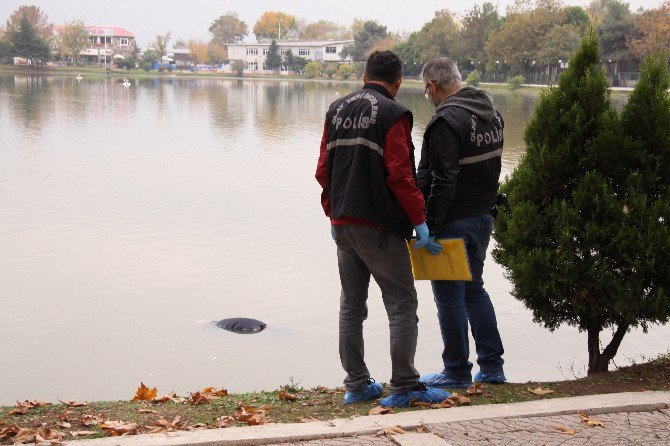 Restoran Bekçisi Gölde Ölü Bulundu