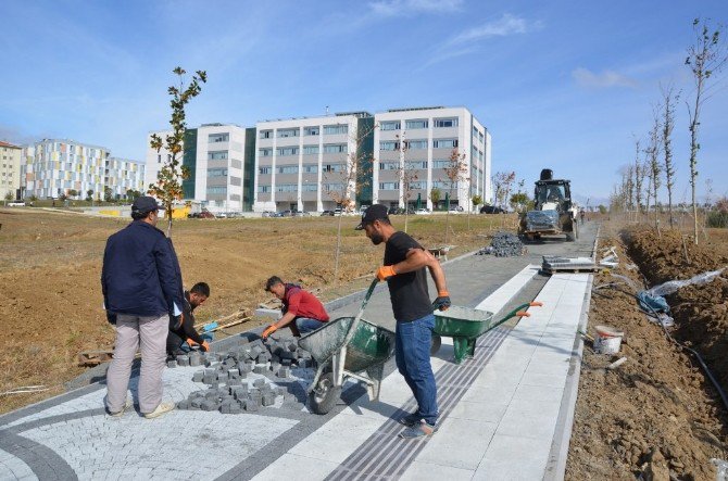 Nkü Kampüs Giriş Kapısı Peyzaj Çalışması Ve Yol Düzenlemeleri Tüm Hızıyla Devam Ediyor