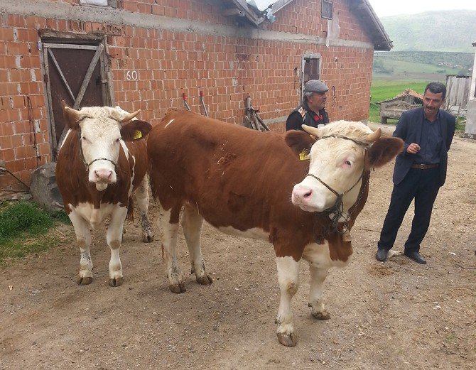 Orman Ve Su İşleri Bakanlığı’ndan Orman Köylülerine Dev Destek