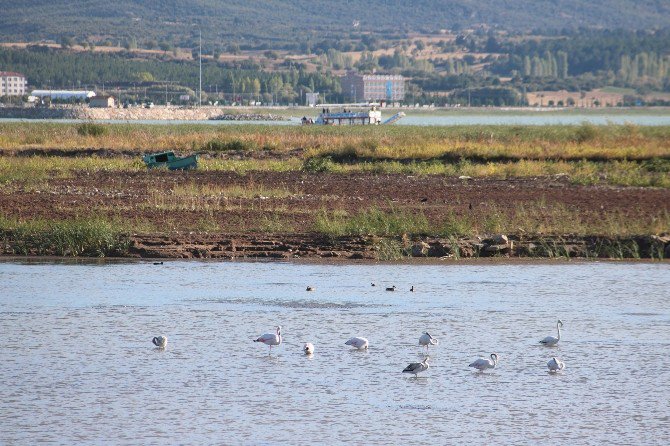 Beyşehir Gölü Kıyıları Kuraklık Nedeniyle Çekildi