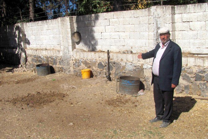 Çalınan İneklerinin Bulunmasını Bekliyor