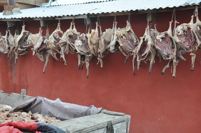 Kars’ta Kaz Kesimi Başladı