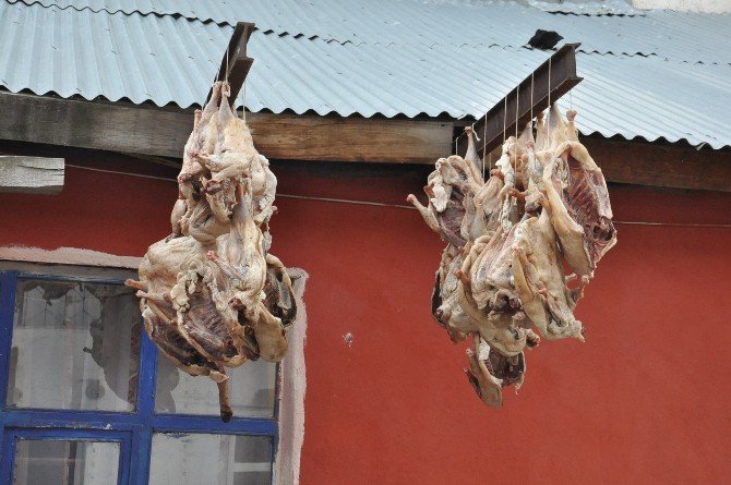 Kars’ta Kaz Kesimi Başladı