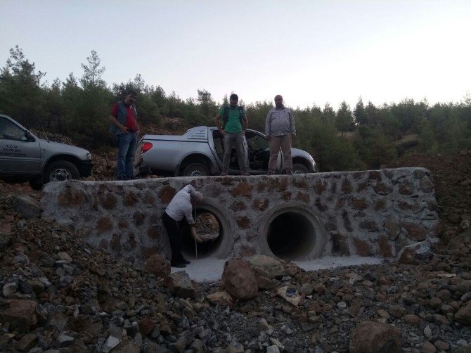 Karadağ, Orman Yolu Ve Yol Üzerine İnşa Edilen Sanat Yapılar İnceledi