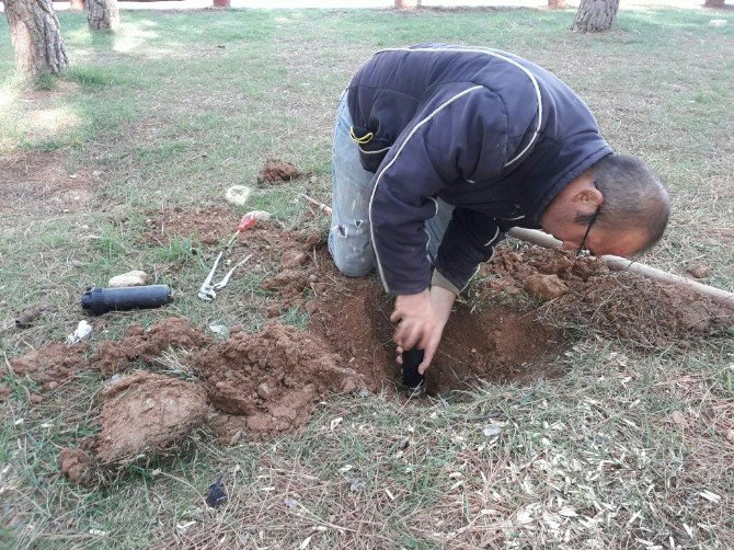 Alaşehir’de Park Ve Bahçeler Bakımdan Geçirildi