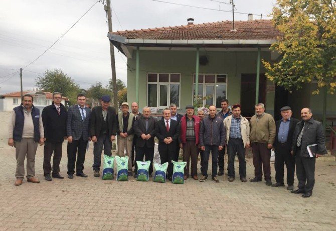 Üreticilere Yonca Tohumu Dağıtıldı