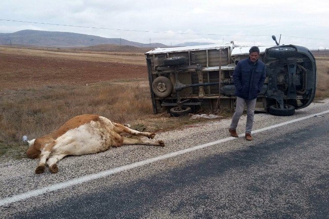 Kelkit’te Trafik Kazası: 2 Yaralı